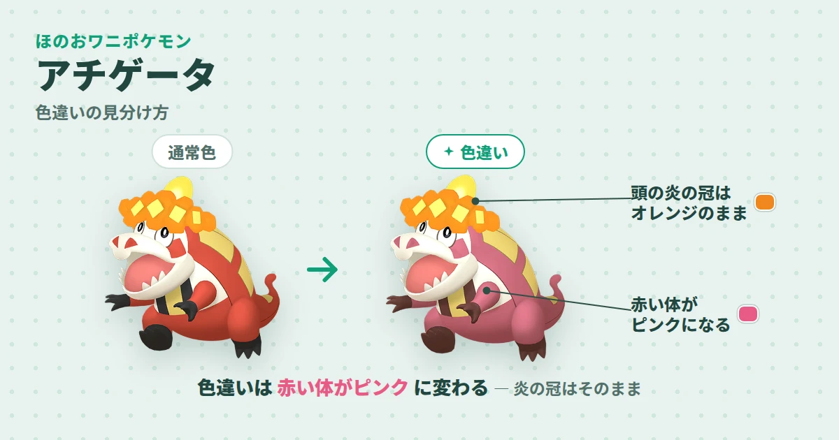 アチゲータの通常色と色違いの見分け図解。色違いは赤い体がピンクに変わり、頭の炎の冠はオレンジのまま