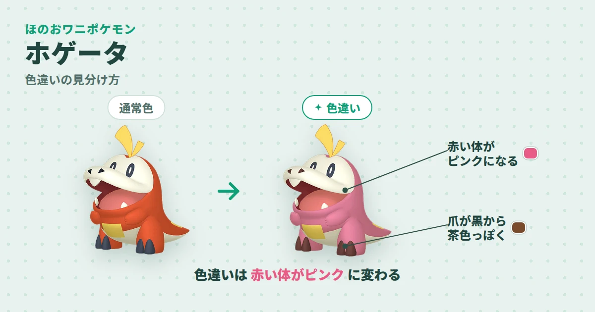 ホゲータの通常色と色違いの見分け図解。色違いは赤い体がピンクに変わり、爪が茶色っぽくなる