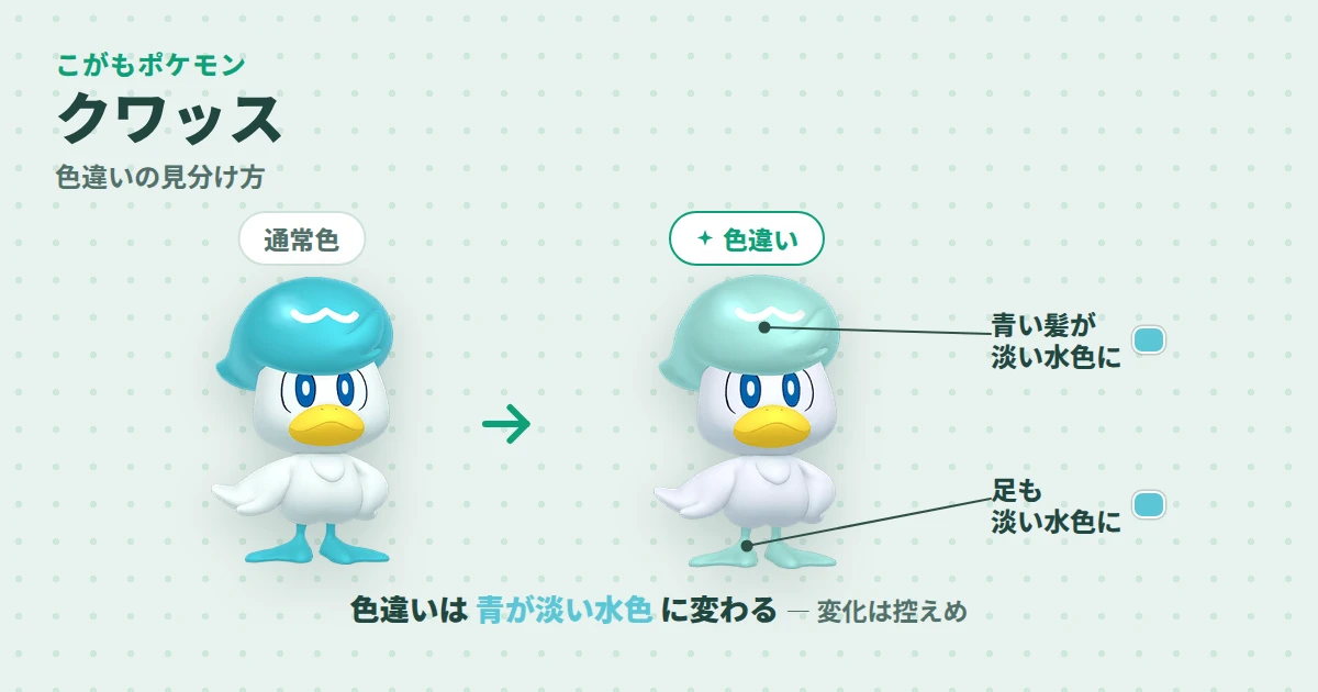 クワッスの通常色と色違いの見分け図解。色違いは青い髪と足が淡い水色になり、白い体と黄色いくちばしはそのまま
